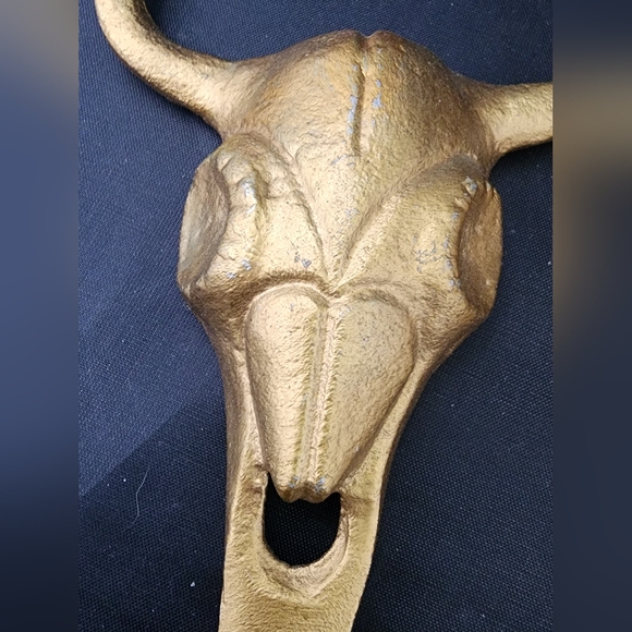 longhorn skull with horns Wall Hooks - Picture 9 of 12
